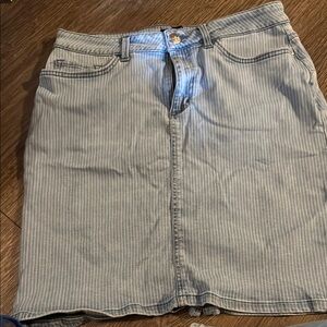 Striped Denim Skirt